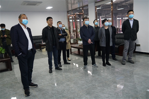 2021-11-20省发改委来张家界万众实业集团有限公司调研工作(省办公室主任夏文斌、市发改委党组书记龙维务）